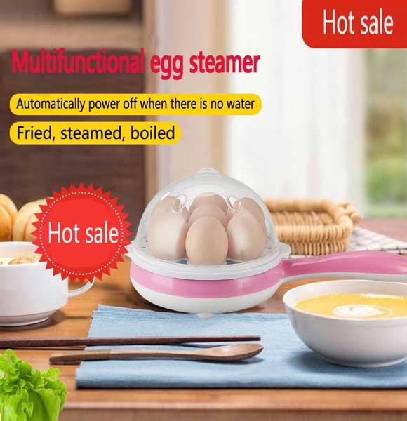 Multi-function 2 in 1 Mini Electric Non-stick Frying Pan and Egg Boiler Cooker
