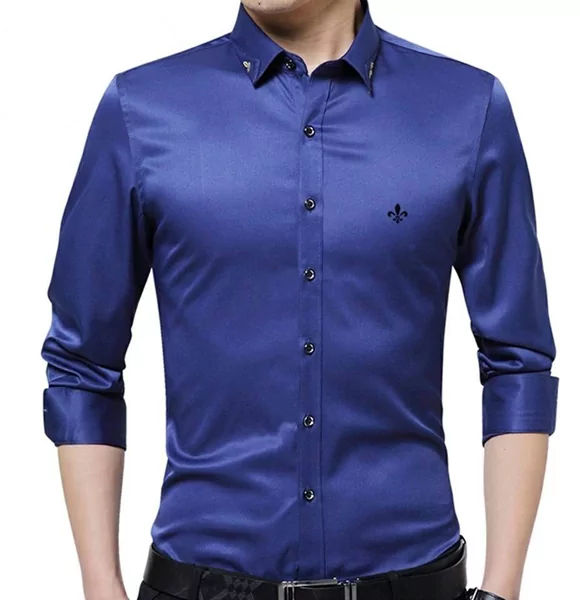 Long Sleeve Casual Shirts for Men (Blue)