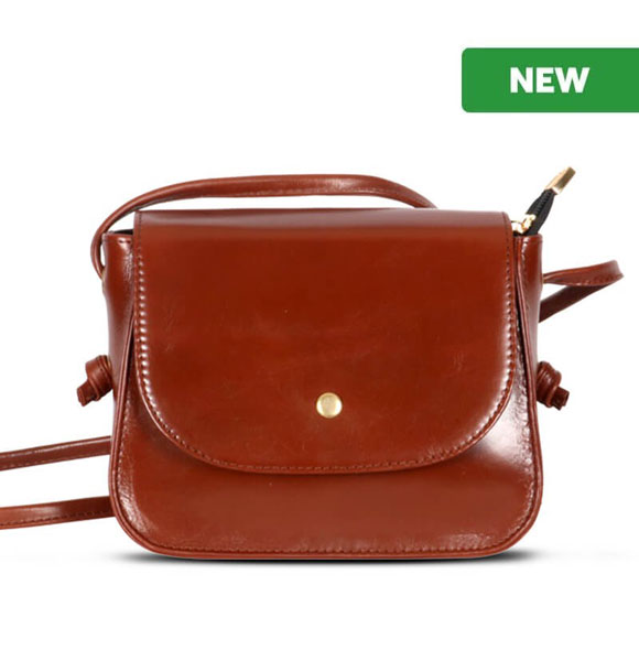 Slick Fashionable Ladies Handbag SB-HB524 Brown
